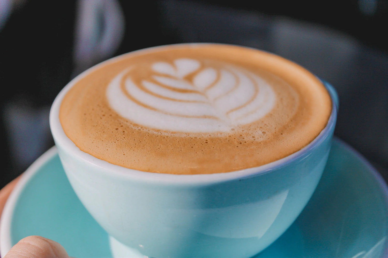 What is the difference between a latte and a flat white coffee? bean & steam